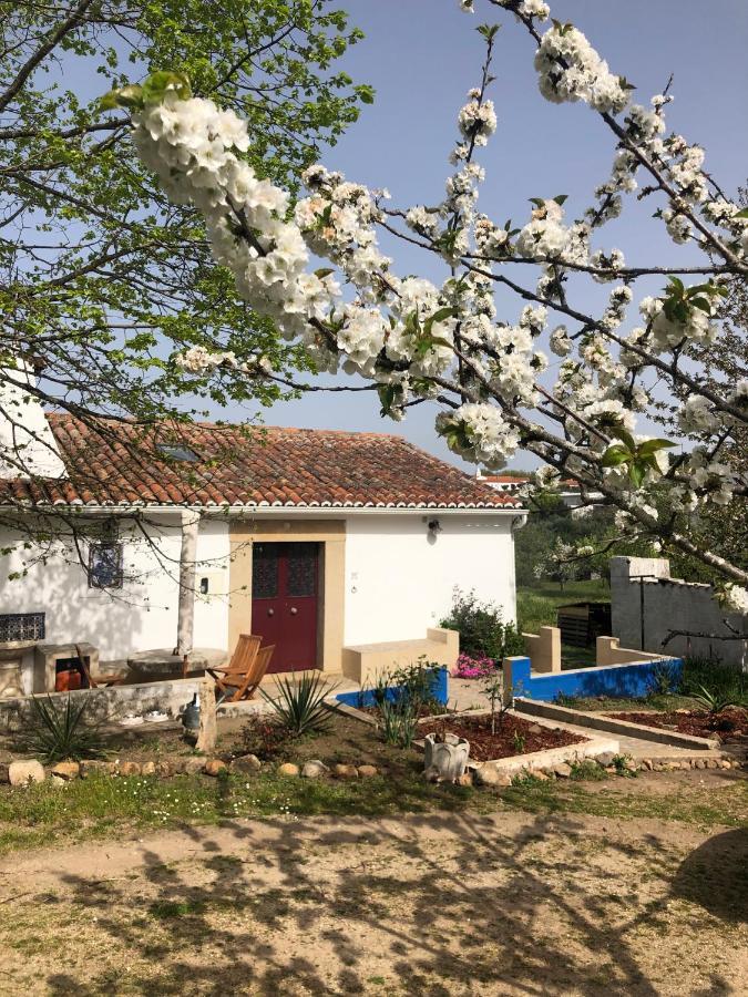 Ola Linda - Casa de Campo - rustica Castelo de Vide Exterior foto